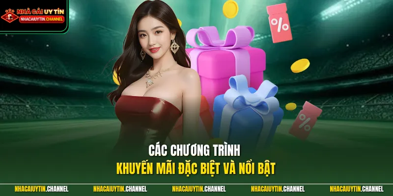 Các chương trình khuyến mãi đặc biệt và nổi bật